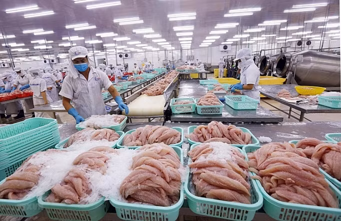 越南加强对受新冠肺炎疫情影响市场的水产品出口 