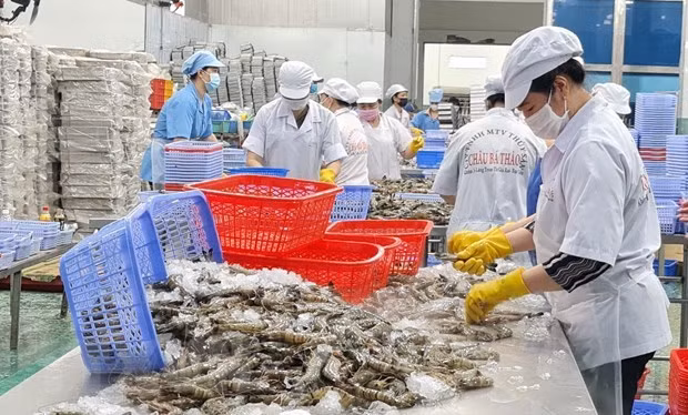 加大越南与印度各地之间的水产品合作力度