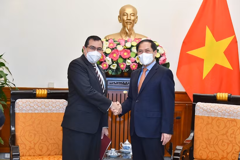 越南外长裴青山会见巴拿马驻越大使