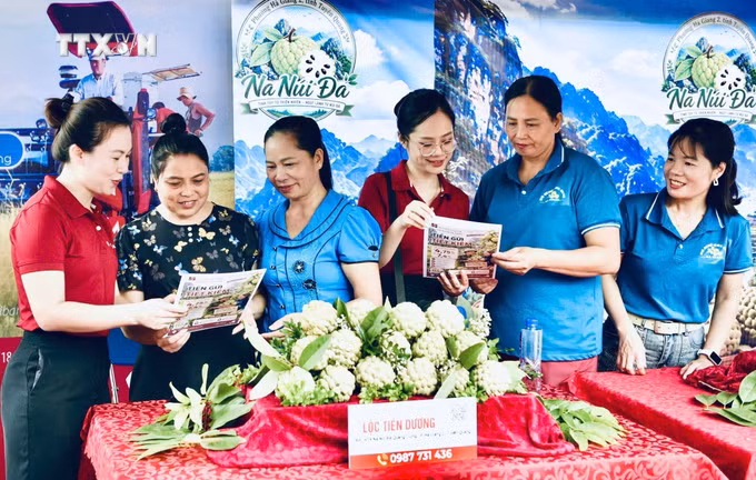 vna-potal-agribank-dong-hanh-cung-nguoi-trong-na-nui-da-quang-trung-8942931.jpg