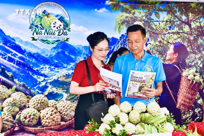 vna-potal-agribank-dong-hanh-cung-nguoi-trong-na-nui-da-quang-trung-8942933.jpg