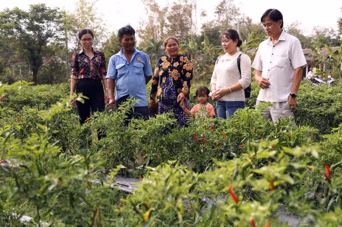dong-bao-khmer-tra-vinh-chung-tay-xay-dung-nong-thon-4.jpg