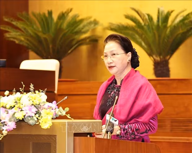 国会主席阮氏金银：越南国会为AIPA做出许多重要贡献 ảnh 1