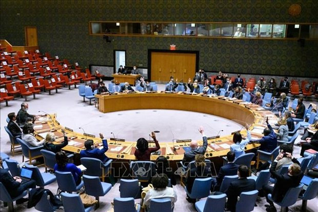 联合国安理会的一场会议。图自越通社 越南与联合国安理会:越南呼吁各方在埃塞俄比亚全面履行国际人道法义务 ảnh 1