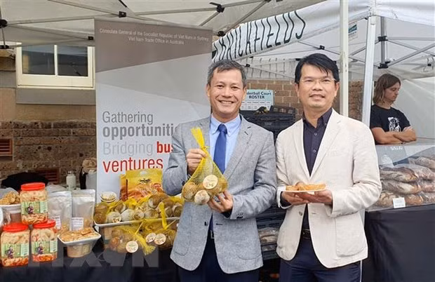向澳大利亚消费者推广越南人心果 ảnh 1