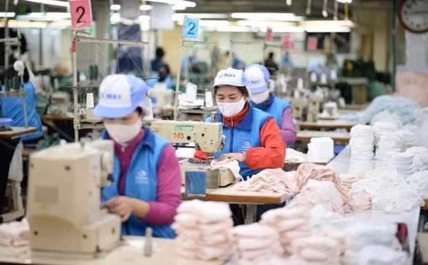 越南努力保护出口商品在欧盟市场的利益 ảnh 1