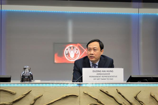 越南常驻世界粮食计划署代表杨海兴大使。图自越通社 越南承诺与世界粮食计划署保持密切合作 ảnh 1