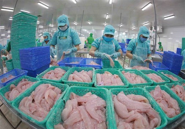 水产加工流程。图自越通社 越南外交部副部长阮明宇:以高度负责精神积极主动地开展经济外交 ảnh 3