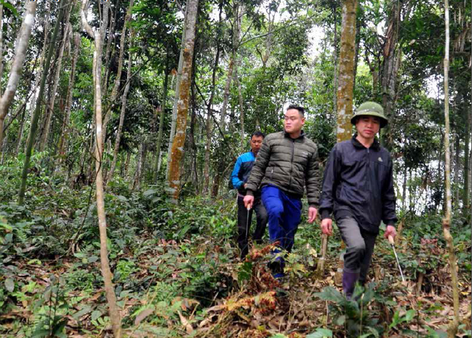 宣光省安山县队平乡居民准备植树造林。图自民族与山区画报 宣光省促进森林管护承包工作 ảnh 1