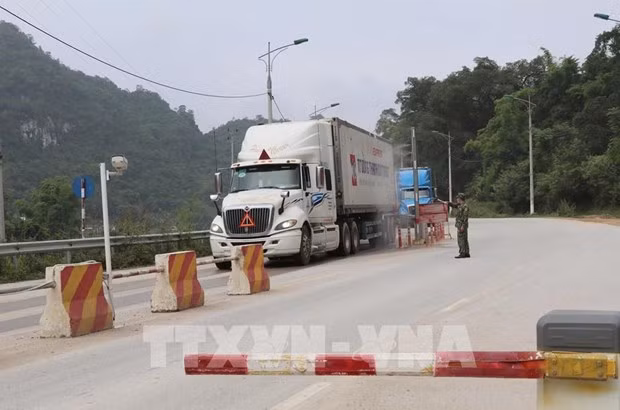  6月1日起谅山省为进出口产品建立安全“绿区” ảnh 1