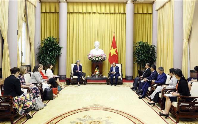 会见场景。图自越通社 越南国家主席阮春福会见澳大利亚外交部长黄英贤 ảnh 1