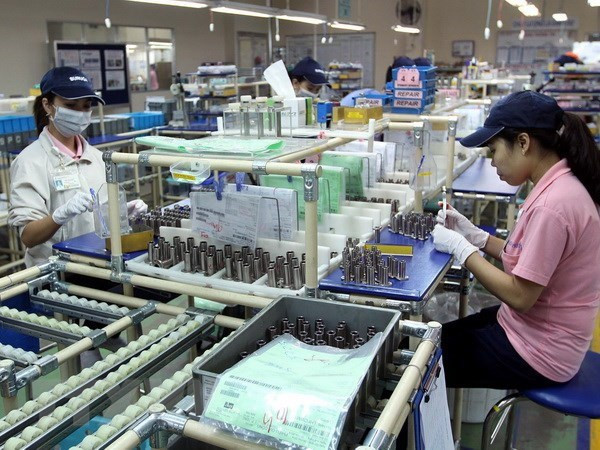 附图 图自越通社 胡志明市努力确保人人都有温暖的春节 ảnh 1