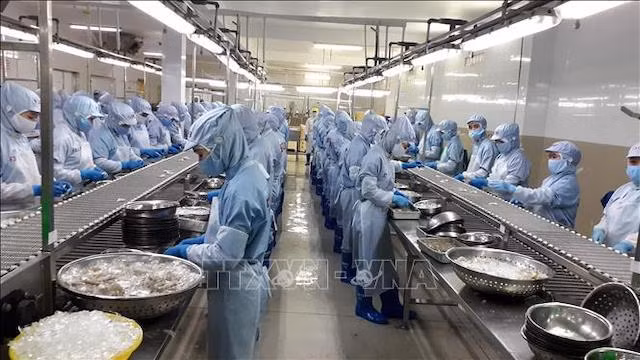 2021年前8个月越南农林水产品贸易顺差萎缩至33亿美元 ảnh 1