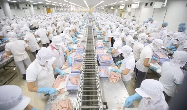 越南与挪威新形势下的贸易关系发展前景 ảnh 1