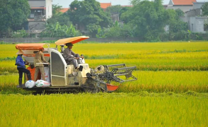 认真贯彻落实越共中央书记处关于可持续减贫的指示 ảnh 1