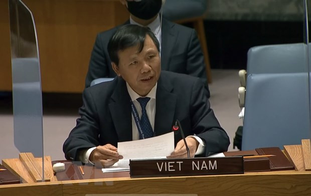 越南常驻联合国代表团团长邓廷贵大使。图自越通社 越南与联合国安理会:越南支持努力协助伊拉克应对当前的挑战 ảnh 1