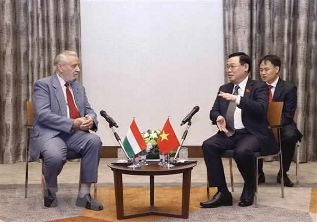 越南国会主席王廷惠会见匈牙利-越南友好协会领导 ảnh 1