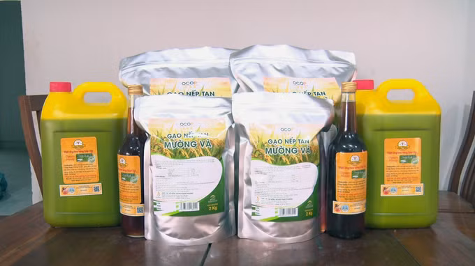 山罗省特产——芒瓦糯米 ảnh 3