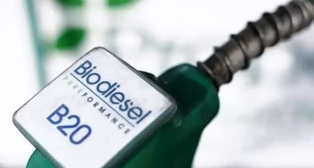 印度尼西亚成为世界上最大的生物柴油产出国 ảnh 1