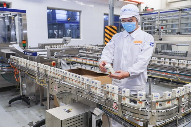 越南乳制品股份公司对中国出口一大批种子奶。图自越通社 越南乳制品股份公司对中国出口一大批种子奶和炼乳产品 ảnh 2