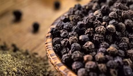 马来西亚扩大胡椒种植面积 ảnh 1