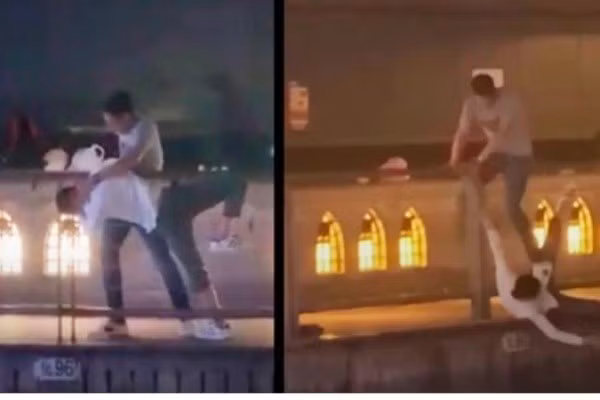 在日越南男子溺死案：日本大阪警方已确认溺死者身份 ảnh 1