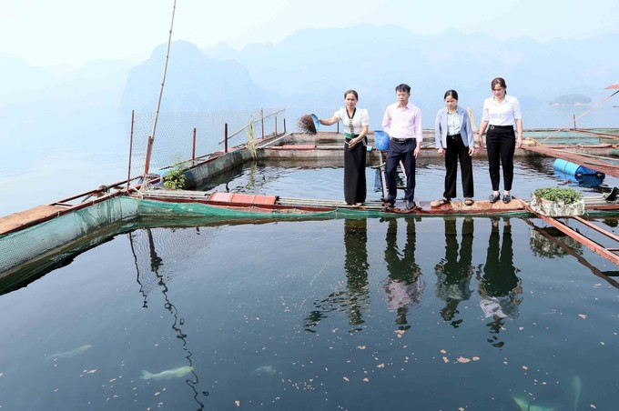 梁氏寸女士的网箱养鱼模式。图自《民族画报》 potal-son-la-chi-hoi-truong-phu-nu-nang-dong-trong-cong-tac-hoi-va-phat-trien-kinh-te-gia-dinh-7951881.jpg
