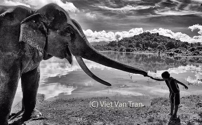 《劳动报》记者获得2022年纽约摄影大赛银奖 ảnh 1