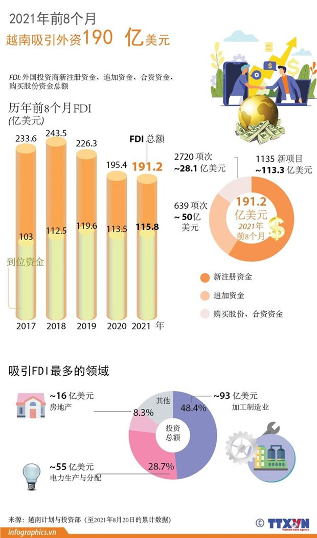第105号决议为外籍专家重返越南提供便利 ảnh 3