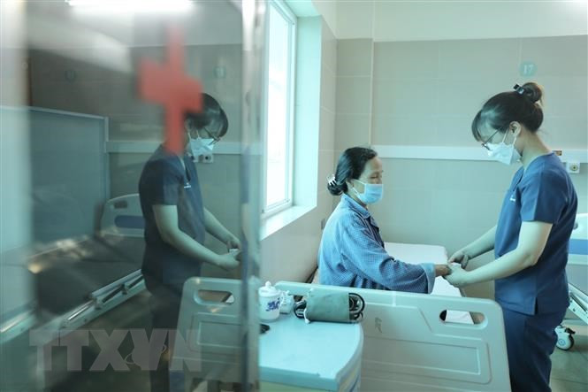 附图。图自越通社 越南卫生部:目前仍没有发现高毒力的甲型流感病毒 ảnh 1