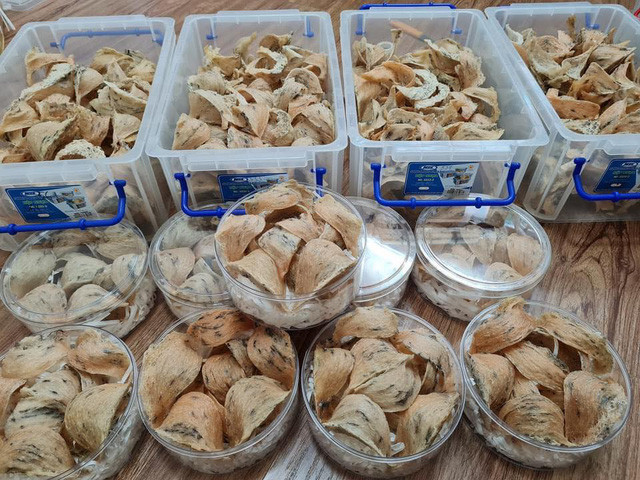 附图。图自互联网 越南燕窝迎来走出国门的机会 ảnh 1