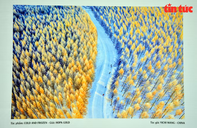 “艺术摄影道路”图片展：缩短艺术和公众距离的活动 ảnh 2