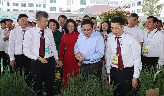 范明政总理参观展位。图自越通社 越南政府总理范明政:将传统农业经验与科技和创新结合起来 实现农业可持续高效发展 ảnh 1