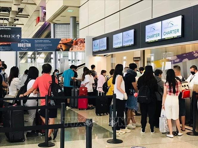 近350名越南公民接回国。图自越通社 新冠肺炎疫情:在美国休斯敦的近350名越南公民已安全回国 ảnh 1