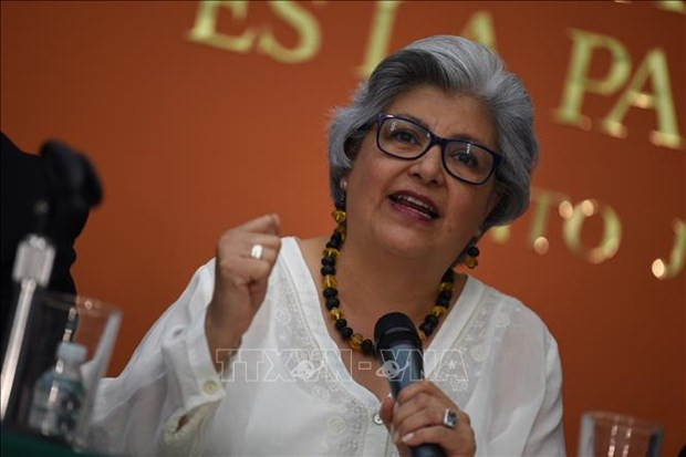 墨西哥经济部长格拉西埃拉·马克斯·科林(Graciela Márquez Colín)。图自越通社 CPTPP各成员国就后疫情阶段经济复苏发展计划深入交换意见 ảnh 1