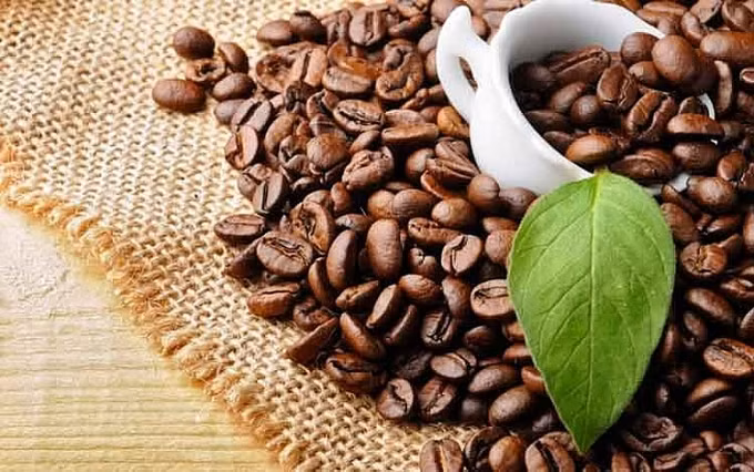 前五月越南咖啡出口额突破20亿美元 ảnh 1