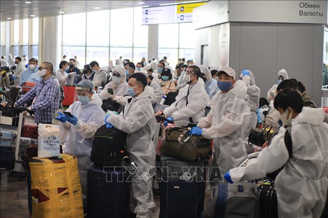 附图。图自越通社 新冠肺炎疫情:将340多名越南公民从俄罗斯接回国的航班安全抵达金兰机场 ảnh 1