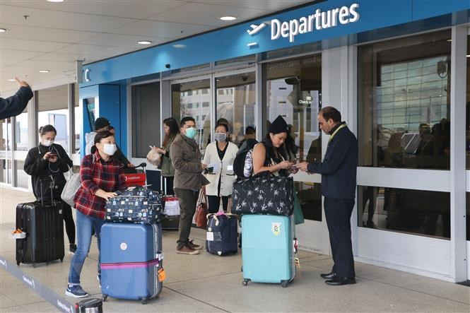 附图。图自越通社 新冠肺炎疫情:将在澳大利亚和新西兰滞留的340多名越南公民安全接回国 ảnh 1