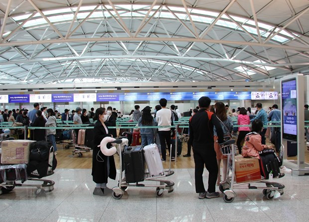 附图 。图自越通社 新冠肺炎疫情:在韩国的近380名越南公民安全回国 ảnh 1