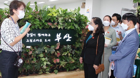 胡志明市委副书记、人民议会主席阮氏丽率领胡志明市人民议会代表团走访釜山农业技术中心。图自https://www.sggp.org.vn/ 胡志明市代表团在韩国交流高科技农业发展经验 ảnh 1