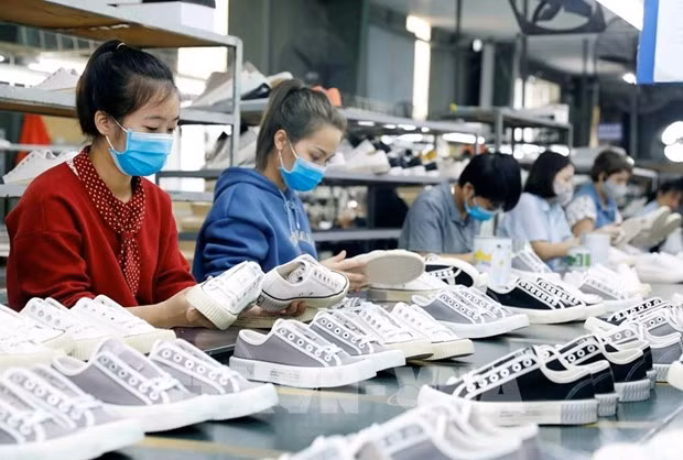 研究世行关于越南经济情况的报告 ảnh 1