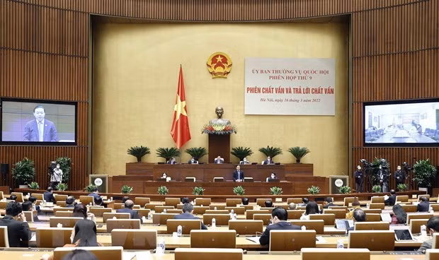 国会专职代表会议：讨论提请国会第三次会议审议的4项法律草案 ảnh 1