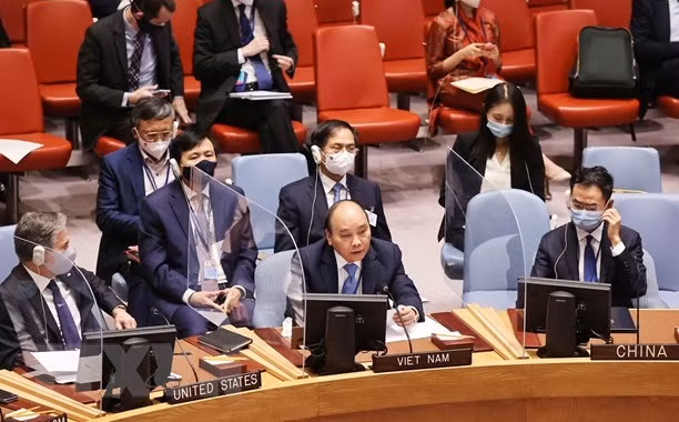 英国驻联合国大使：越南为安理会作出了许多贡献 ảnh 1