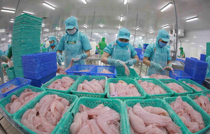资料图。图自越通社 越日食品加工企业合力扩大进出口规模 ảnh 2