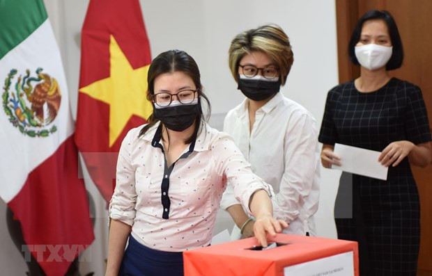 旅居墨西哥越南人进行捐款 支持越南新冠疫苗基金会 图自越通社 海外越南人积极行动 助力越南抗击疫情 ảnh 1