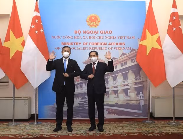 越南与新加坡面向达成有关数字经济的双边协议 ảnh 1