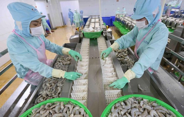 附图。图自越通社 2020年前7月越南农林水产品出口额约达223亿美元 ảnh 1