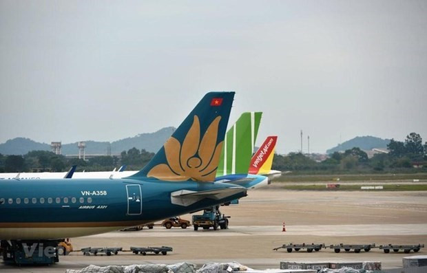 各家航空公司停在内排机场的飞机。图自越通社 越南同各国职能机关就恢复航空运输活动进行积极磋商 ảnh 1