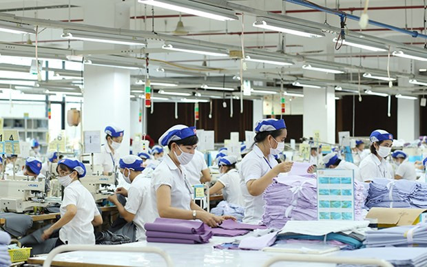 越进制衣股份总公司的制衣活动。图自互联网 越南纺织品服装出口额同比增长20% ảnh 1