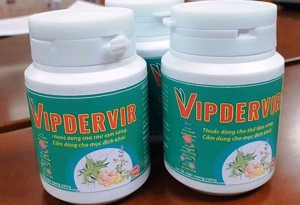 越南治疗新冠肺炎草药临床前研究结果出炉 ảnh 2